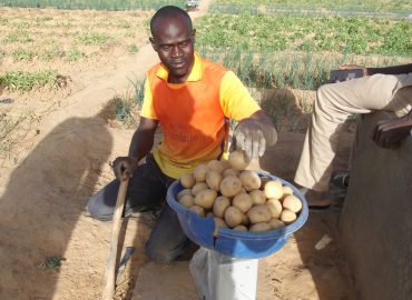 Autonomisation financière des ménages au Burkina Faso : Help y veille