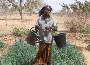 La culture maraichère : le dernier espoir de Abzèta Salgo après une campagne humide jugée ‘’catastrophique’’