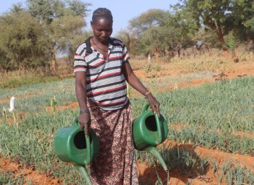 Le maraîchage pour transformer des vies : hommage à Patenema Ouédraogo, femme battante de Sirgui !