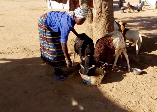 Sécurité alimentaire au Nord : le Projet d’amélioration de la résilience au Yatenga et au Zondoma (PARYZ) fait tache d’huile