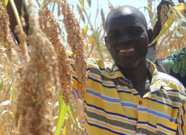 Sécurité alimentaire au Nord : plus de 200 producteurs à l’école des bonnes pratiques agricoles