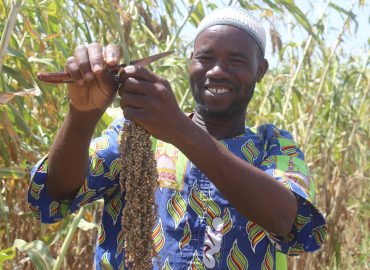 Sécurité alimentaire au Nord : quand l’adoption des bonnes pratiques agricoles épargnent les producteurs de la faim !