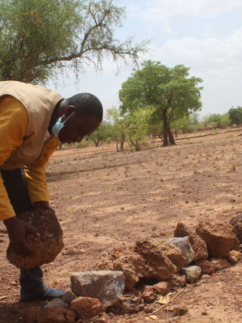 Portfolio Multi-Grid