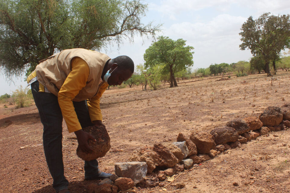 Portfolio Multi-Grid