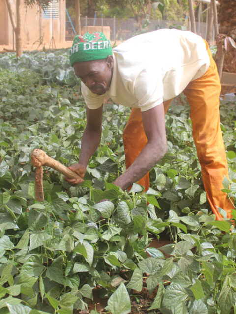 Portfolio Multi-Grid