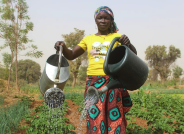 Limata Bélem : Le reflet d’une femme battante