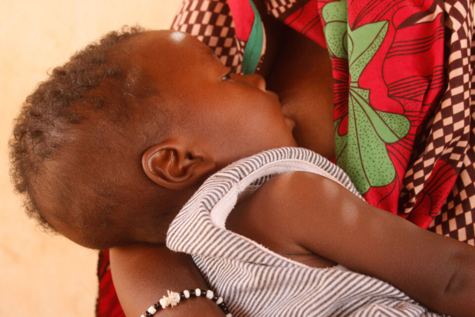 Portfolio Multi-Grid