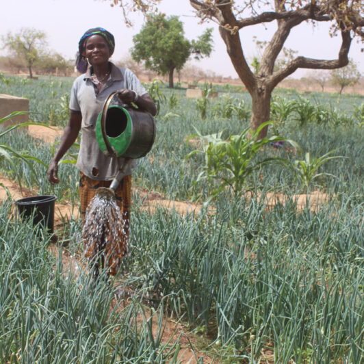 Moyens d’existence